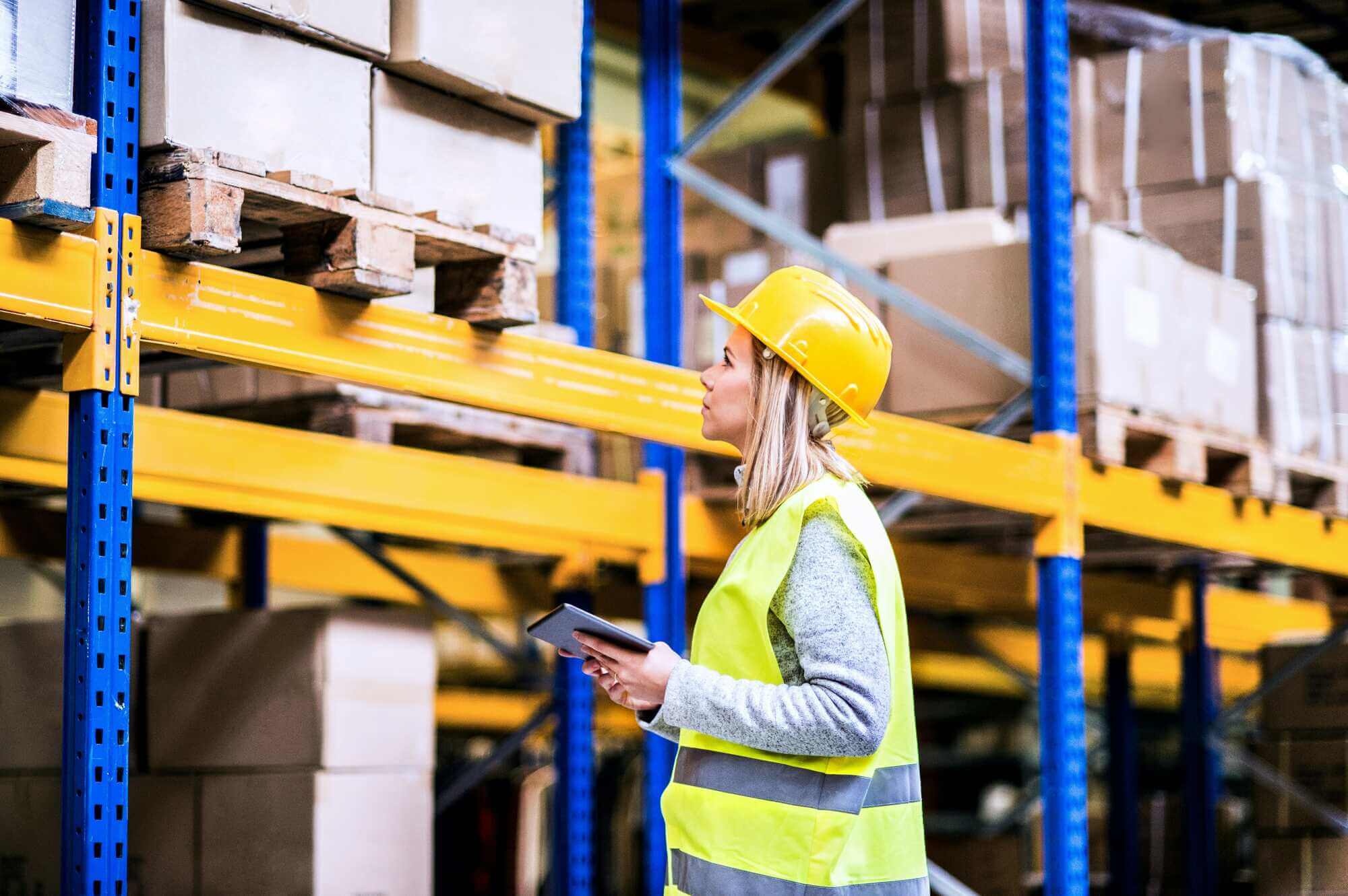 Woman Checking Rental Inventory in Warehouse