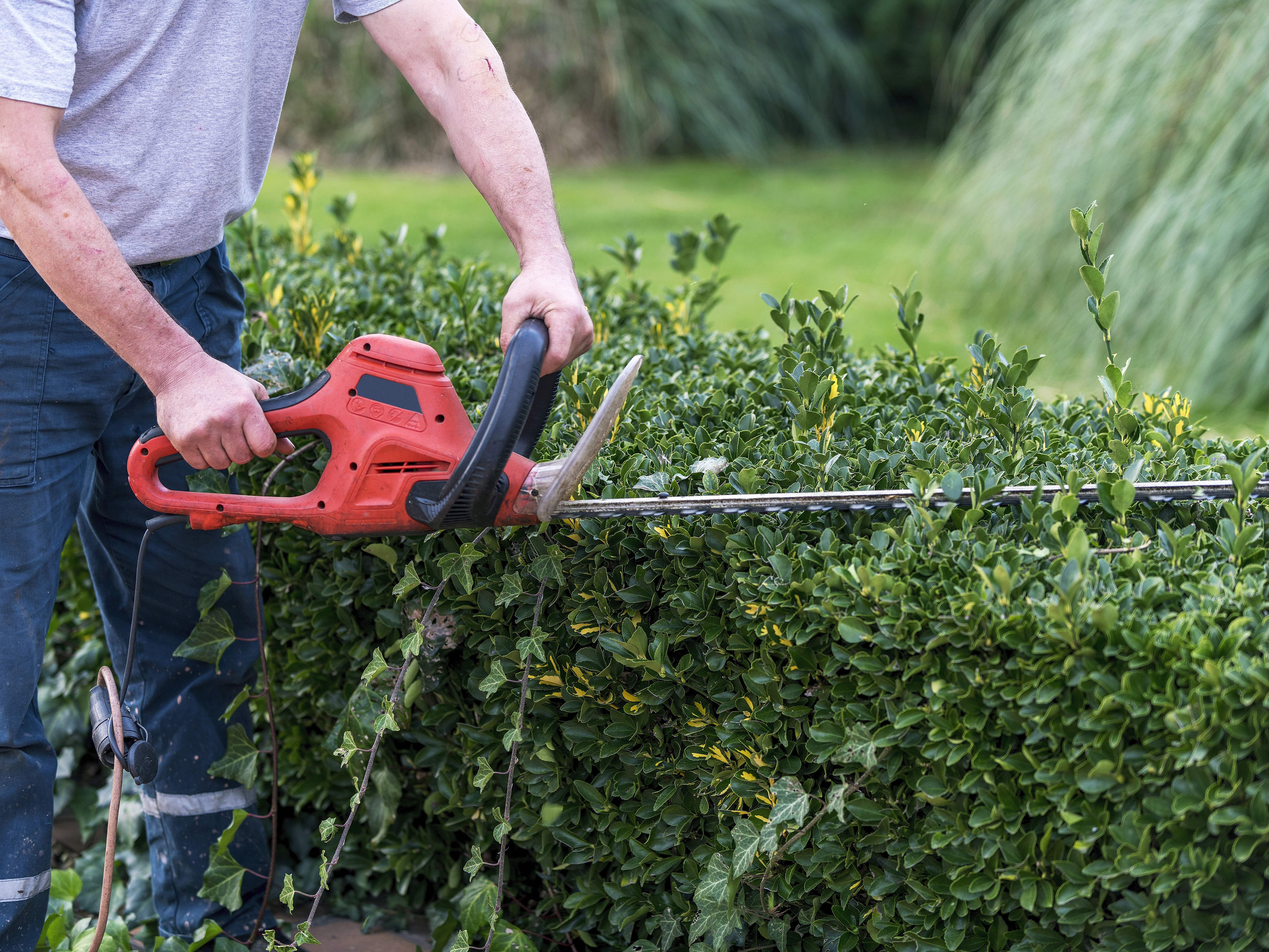 tool rental business