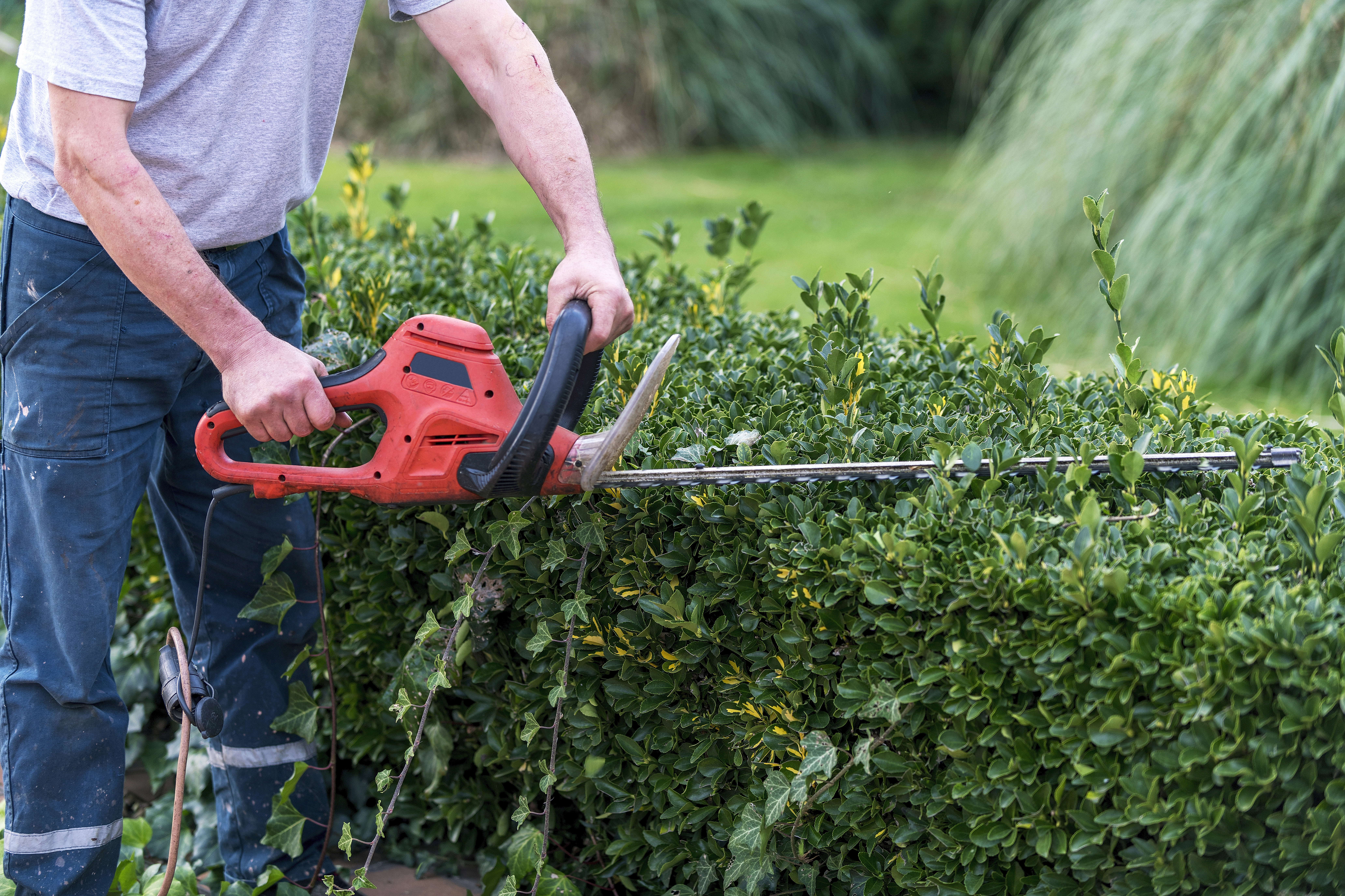 tool rental business